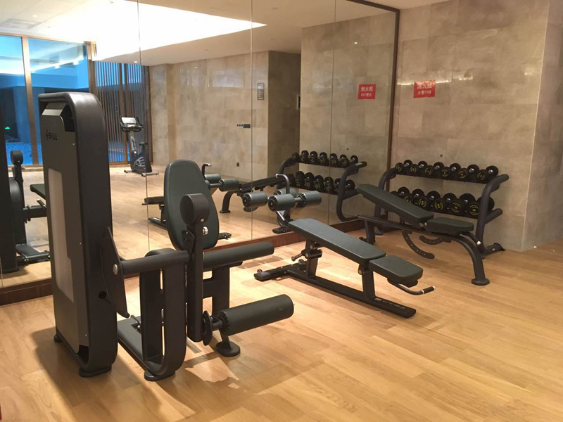 酒店健身房器材,室内健身器材,高端商用健身器材-广西leyu.乐鱼体育健身器材有限公司